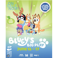 Bluey's Big Play