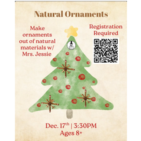 Natural Ornament Craft @ Dunellen Library!