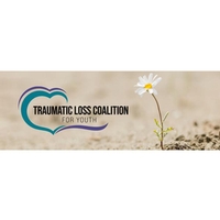 Young People Supporting Peers for Suicide Prevention